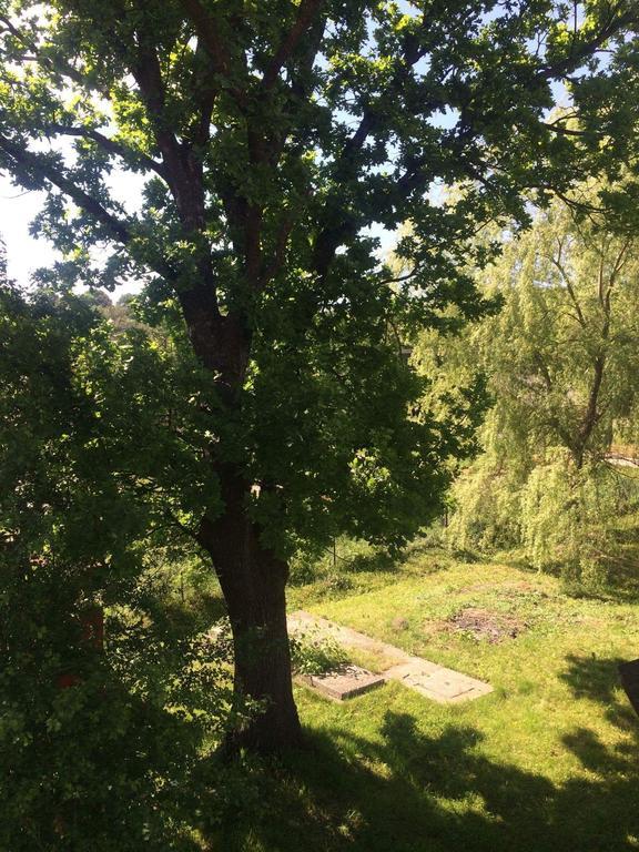 Casa Cristina Villa Sovata Dış mekan fotoğraf
