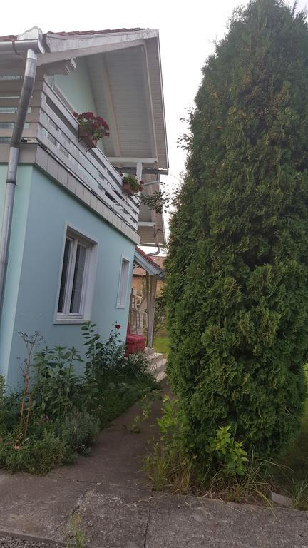 Casa Cristina Villa Sovata Dış mekan fotoğraf