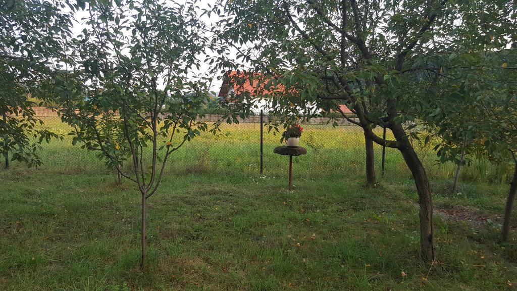 Casa Cristina Villa Sovata Dış mekan fotoğraf